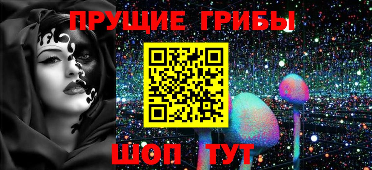 Южноуральск  Галлюциногенные грибы Cubensis  Галлюциногенные грибы Magic Shrooms  Вход с VPN 