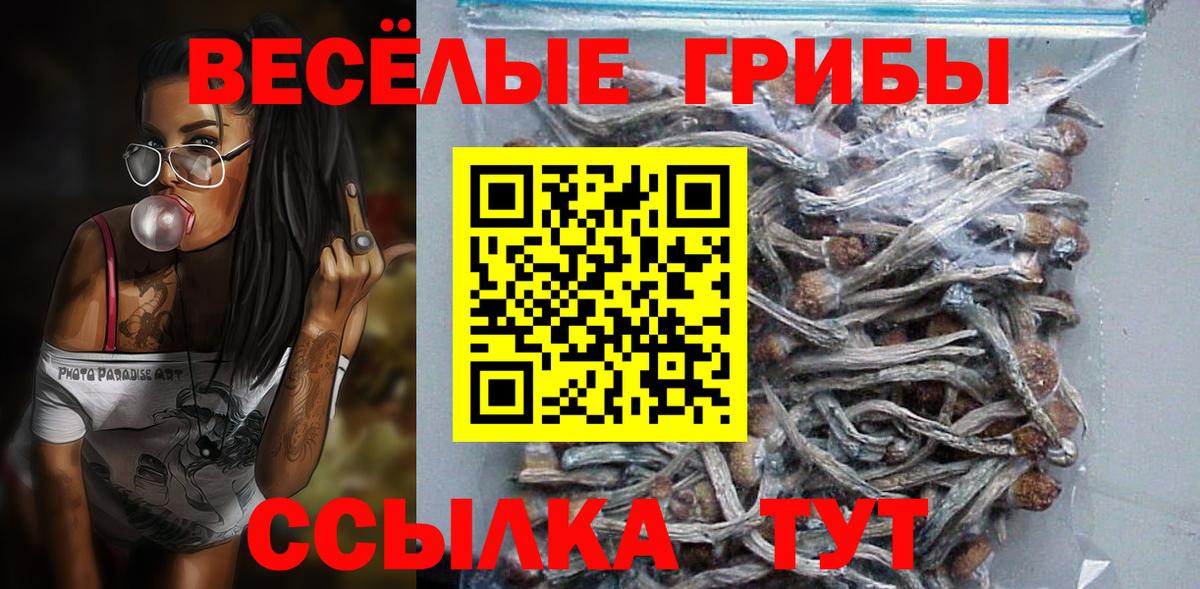 Галлюциногенные грибы Psilocybe Южноуральск
